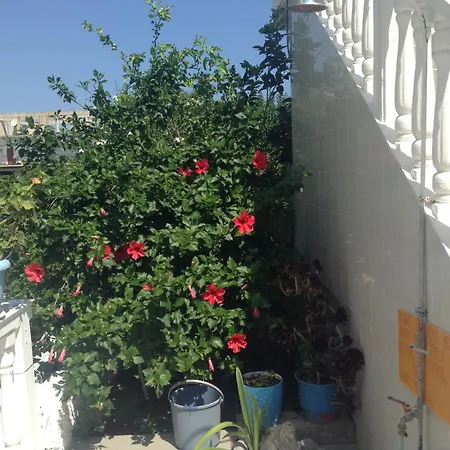 Apartman Dina