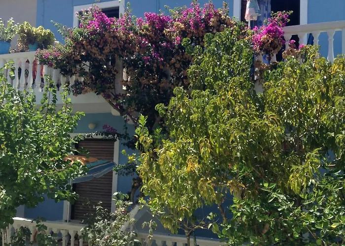 Dina Apartamento