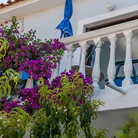 Apartament Dina