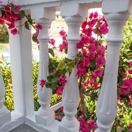 Dina * Καλαμάκι